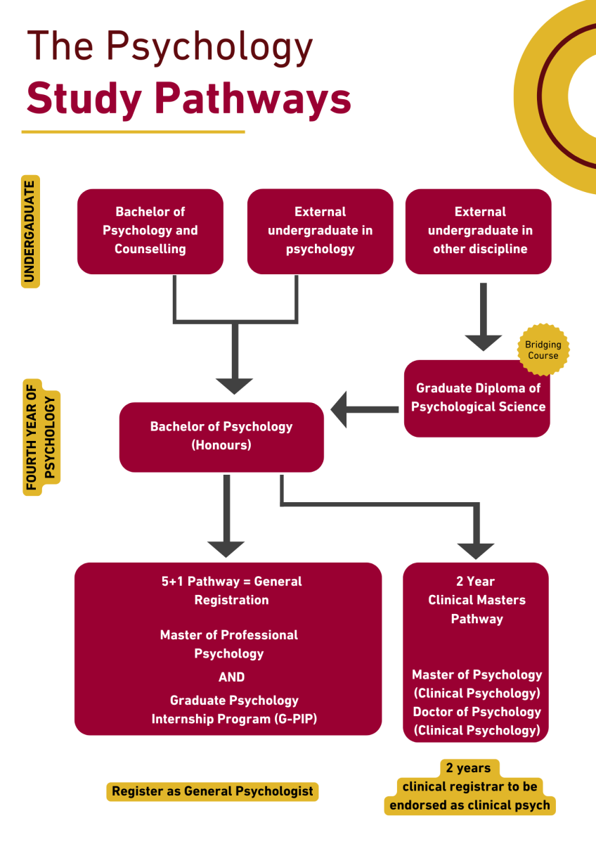 Psychology Honours vs Postgraduate Diploma: Which Path Fits Your Goals? Psychoology Pathways